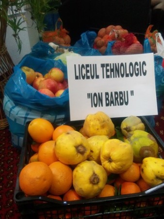 23756145_1609965719042524_33887117_n