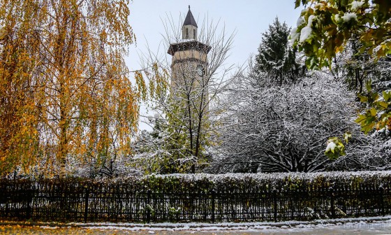 24130130_729176190615749_620747069140041927_o