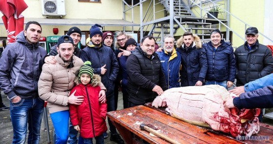 24958969_734832766716758_2381536546410392180_o