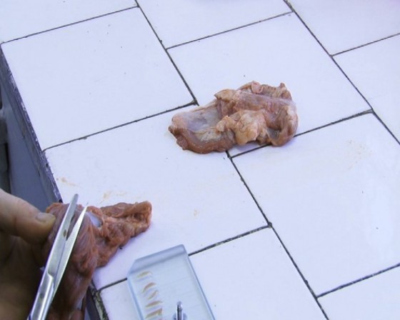 examen-trichineloscopic