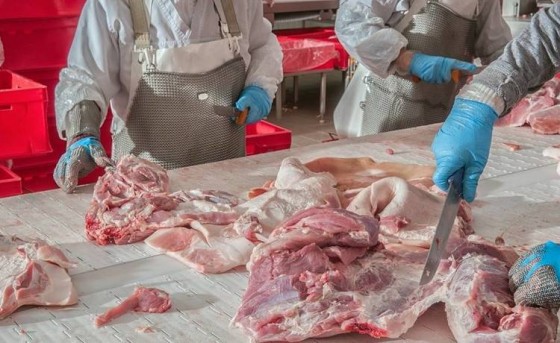 profession_gallery_Ausbildung-zum-Fleischer-2