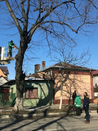 19554433_866624743520972_4659658194573912393_n