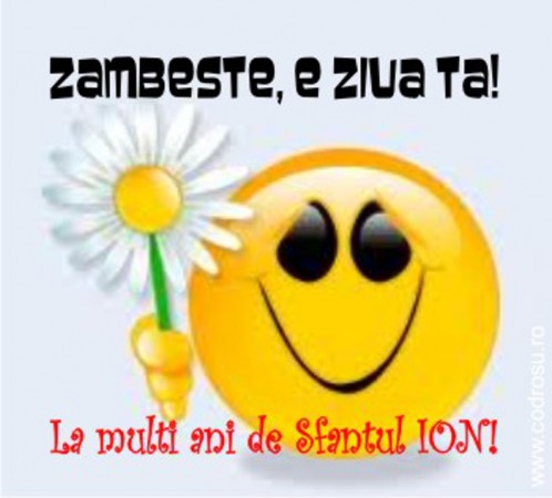 felicitari-de-sfantul-ion_poze_011