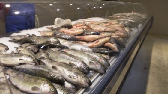 peste_vremeanoua_ro_60916000