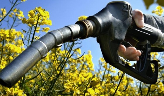 sedepuncereriledeplataaajutorulu-1515686809