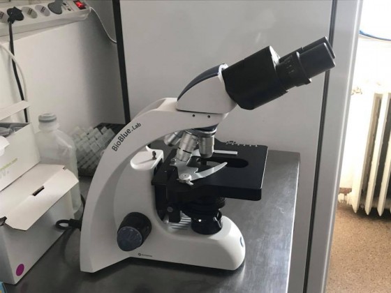 27544745_406517916459543_3622314696136256297_n