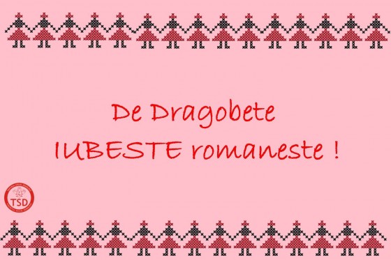 28161803_1561436803973389_26421194077213770_o