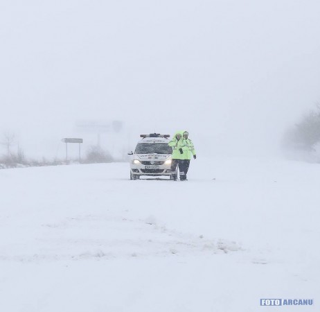 28276676_772389706294397_3674536135398175511_n