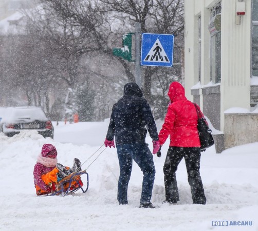 28277352_772389946294373_6074825621990744604_n