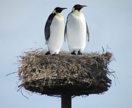 28459529_1653587364719177_1705296569_n