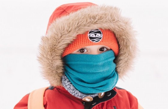 shutterstock_528005623-800x517