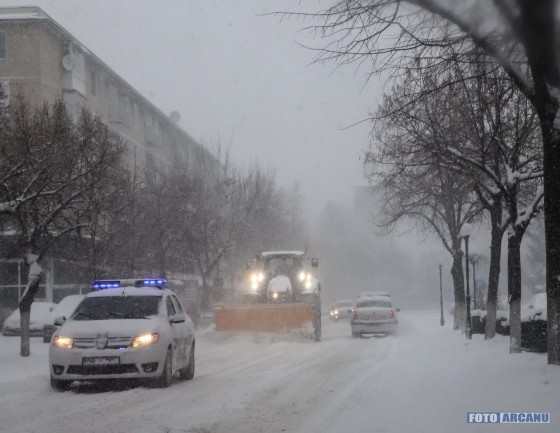 28827745_784358268430874_3327227249423245538_o