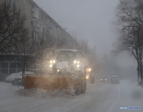 29497253_784358298430871_610380454902877568_n