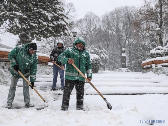 29497353_784357865097581_5889893265875299170_n