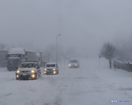 29510870_784358081764226_7850919968572818353_n