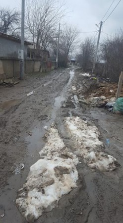 29663625_827323787451087_447235319_n