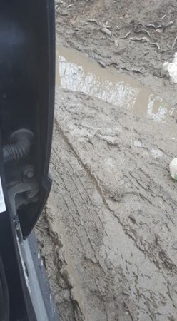 29664270_827323884117744_72349813_n