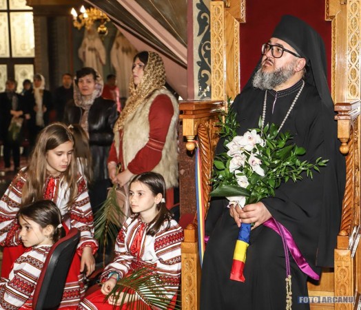 29597814_788663024667065_2641079954077031402_n