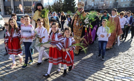 29744851_788662584667109_3676015723549606771_o