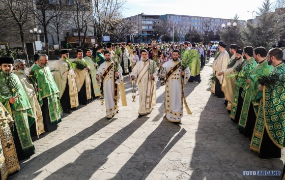 29872258_788662748000426_3105043933154701723_o