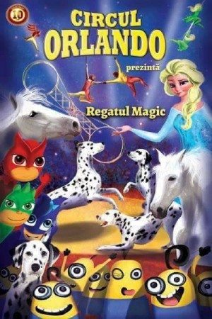 31946952_1225822060886306_6217207762187714560_n