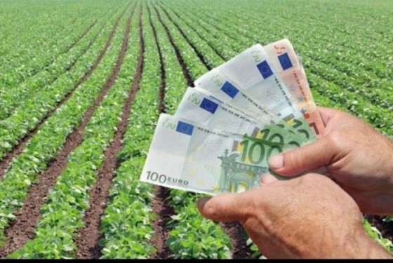 plati_agricultura-650x435