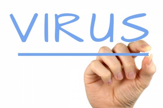 153380348599-virus-S4