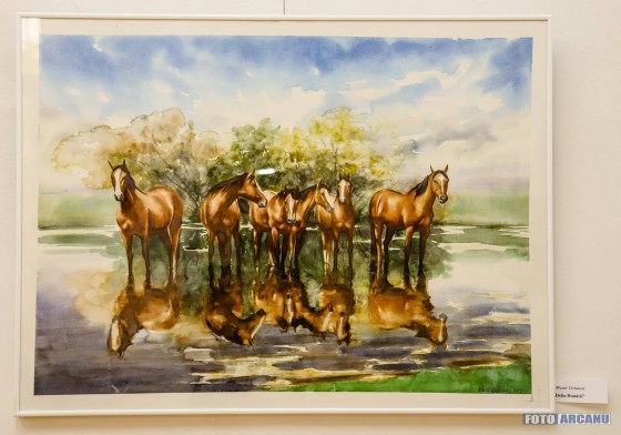 38851131_884260035107363_7941737341708664832_o