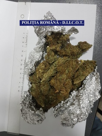 Foto droguri de risc 1