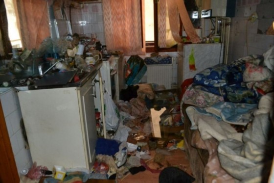 1-focar-de-infecie-cu-zece-caini-ingramadii-intr-un-apartament