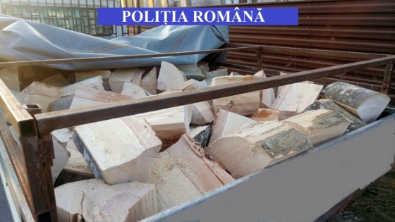 delictesilv