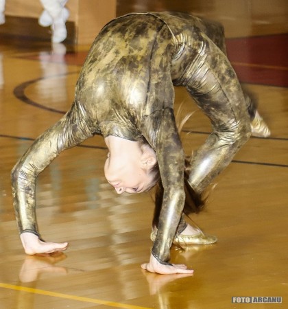 46514633_949636955236337_3960221114067582976_n