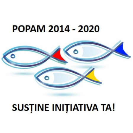 13466074_1008282879285861_4652684664818613650_n