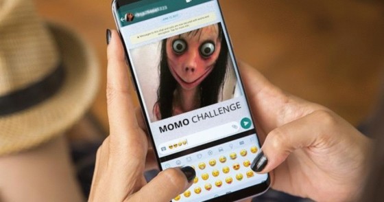 momo-challenge