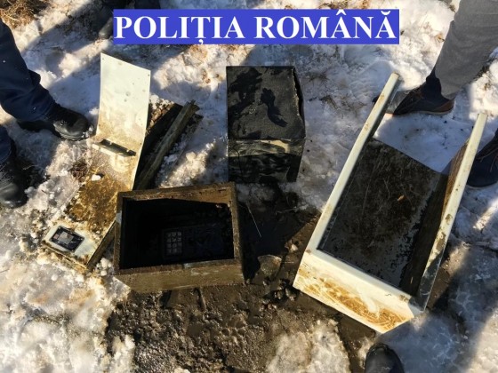Case de bani