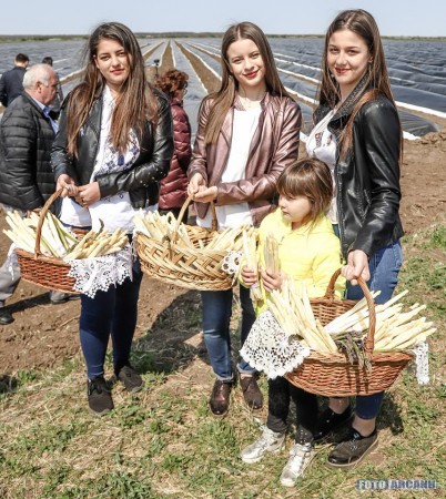 56352718_1027042630829102_3759826718949376000_n