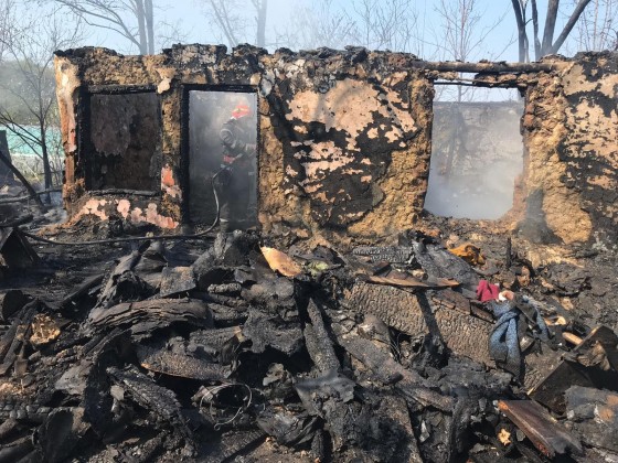 56487453_476693126484597_8000964957900374016_n