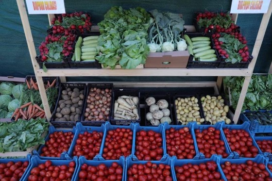 60285606_596402904214694_1829151735856234496_n