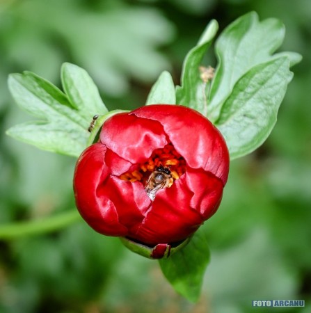 60503290_1053695994830432_4616364496238149632_n