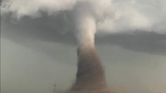 feb188cc-8756-4e71-80e5-d79ce034f2a6