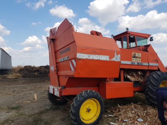 69574993_382070472718485_9161038429163618304_n