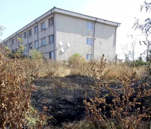 69788139_1398813266942253_1789563991496851456_n