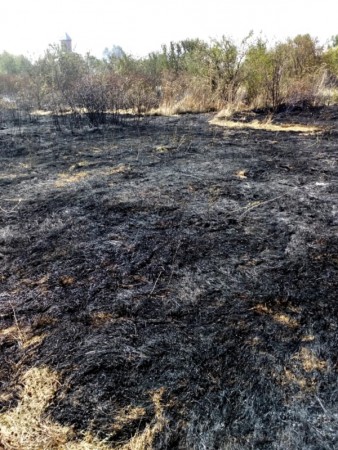 69880885_2388169151259827_6783649927747600384_n