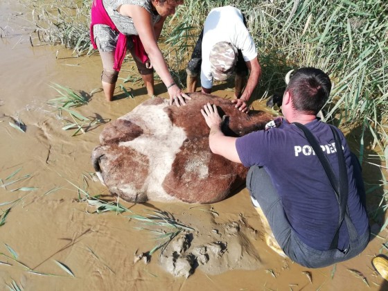 69898964_2382813221961957_577613147863515136_n