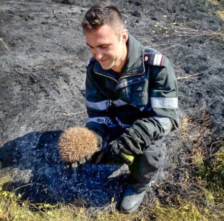 70062844_409815129888778_3889437677912588288_n