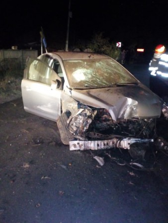 70343687_2376358729299562_5576416375544479744_n