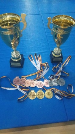 70413516_2478489075768056_8260313358318698496_n