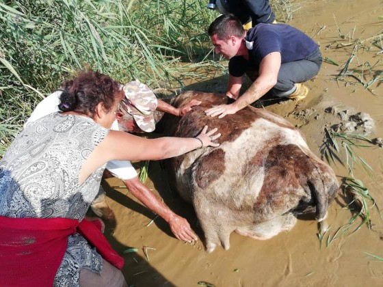 70445508_3097133223695290_2135372291196846080_n