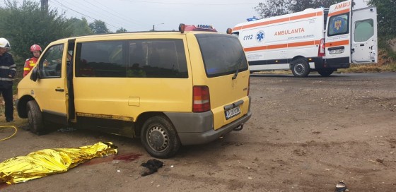 71015321_435795037282780_6463100373665054720_n