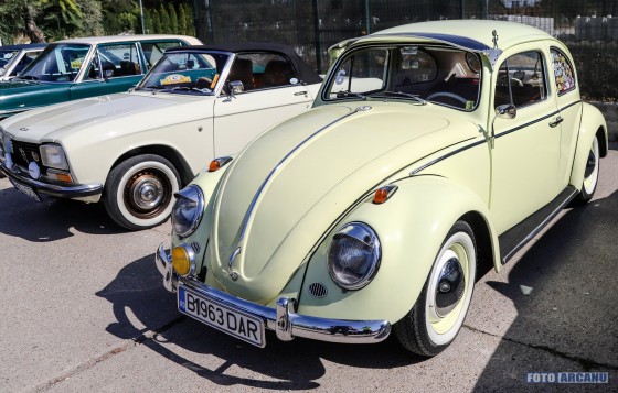 71394844_1146957672170930_3070827279346040832_o